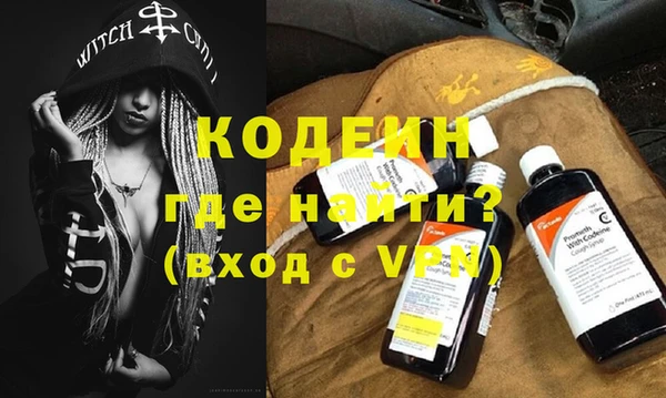 крисы Коряжма