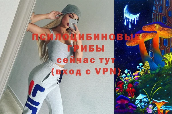 стафф Кодинск