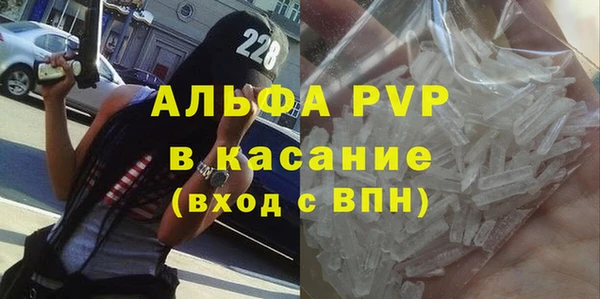 крисы Коряжма