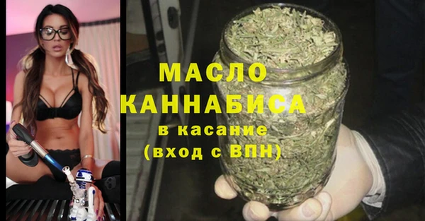 крисы Коряжма