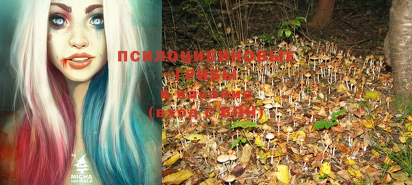 крисы Коряжма