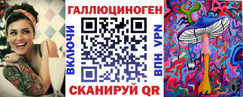 Купить где  Короча  Псилоцибиновые грибы Cubensis 