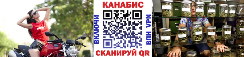 Купить где  Короча  Канабис семена 
